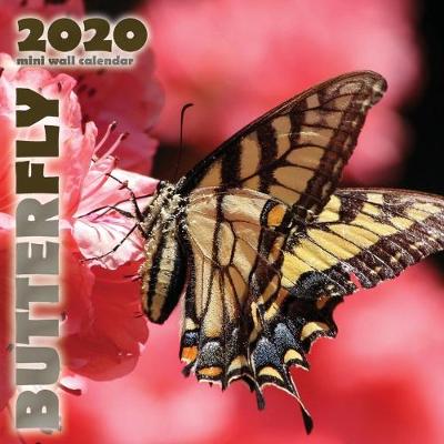 Book cover for Butterfly 2020 Mini Wall Calendar