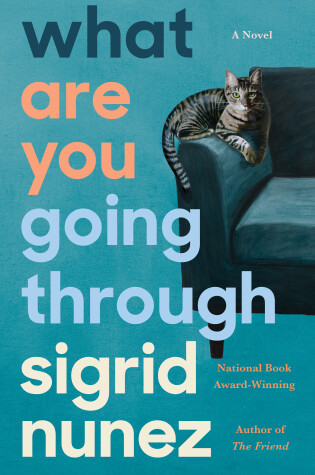 Cover of What Are You Going Through