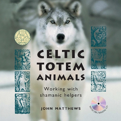 Book cover for Celtic Totem Animals