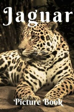 Cover of Jaguars Picture Book