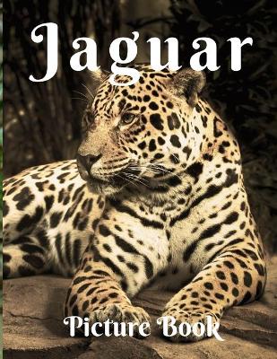 Book cover for Jaguars Picture Book