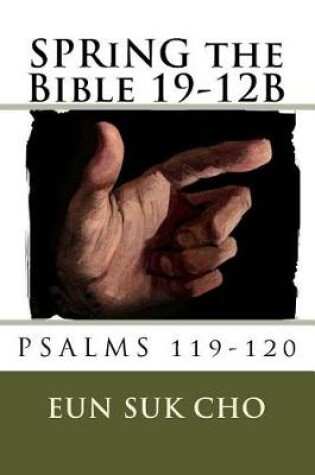 Cover of SPRiNG the Bible 19-12B