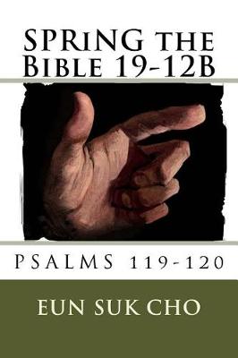 Cover of SPRiNG the Bible 19-12B
