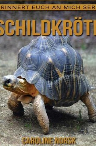 Cover of Schildkroete
