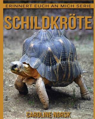 Book cover for Schildkroete