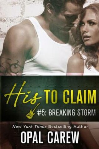 Cover of Breaking Storm