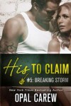 Book cover for Breaking Storm