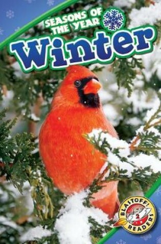 Cover of Winter