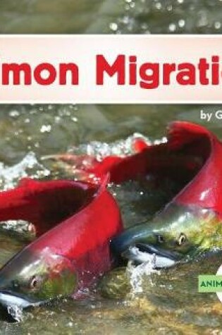 Cover of Salmon Migration