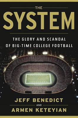 Book cover for The System