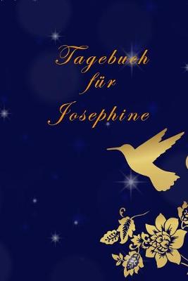 Book cover for Tagebuch für Josephine