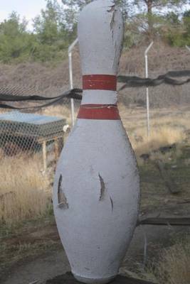 Book cover for Vintage Bowling Pin Journal