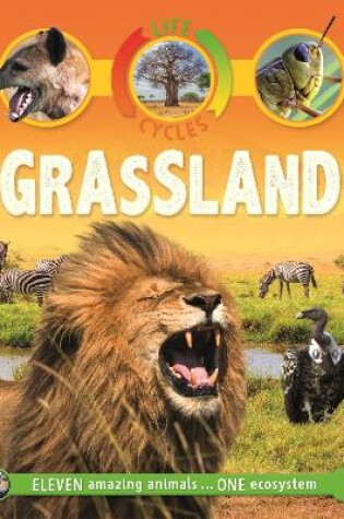 Cover of Life Cycles: Grassland