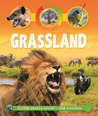 Cover of Life Cycles: Grassland
