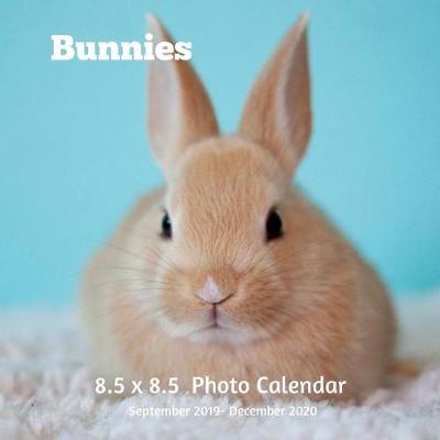 Book cover for Bunnies 8.5 X 8.5 Calendar September 2019 -December 2020