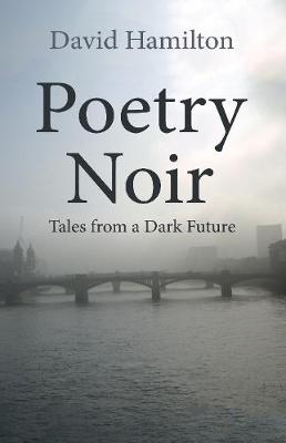 Book cover for Poetry Noir