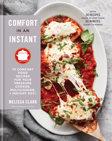 Book cover for Comfort in an Instant