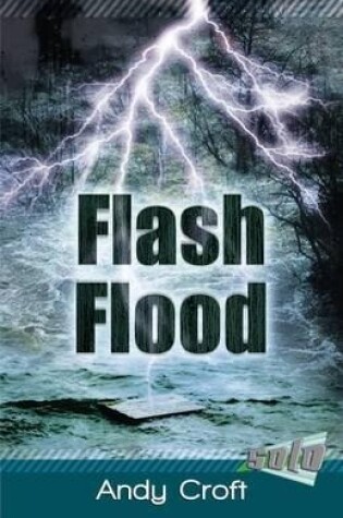 Cover of Flash Flood