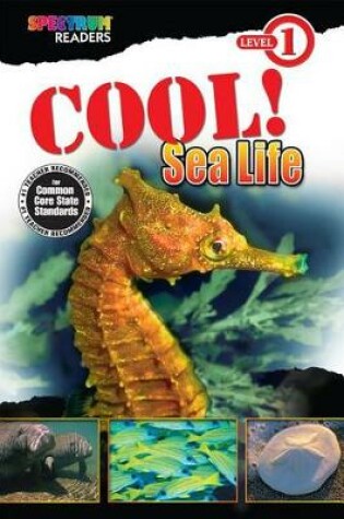 Cover of Cool! Sea Life