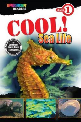 Cover of Cool! Sea Life