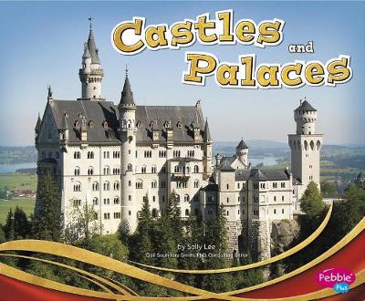 Book cover for Castles and Palaces