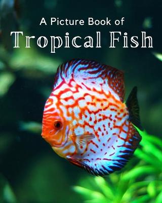 Book cover for A Picture Book of Tropical Fish