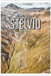 Book cover for Stelvio