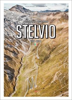 Book cover for Stelvio