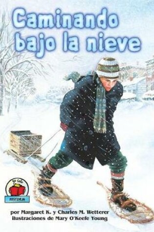 Cover of Caminando bajo la nieve (The Snow Walker)