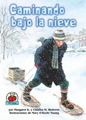 Cover of Caminando bajo la nieve (The Snow Walker)