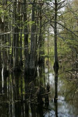 Book cover for Bald Cypress 100 Page Lined Journal