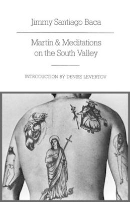 Book cover for Martín and Meditations on the South Valley