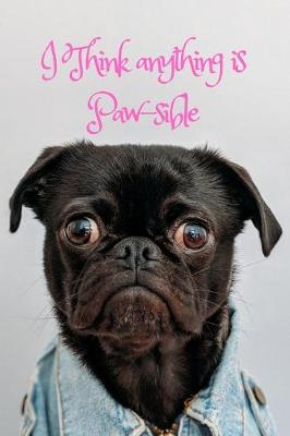 Book cover for I Think anything is Paw-sible!