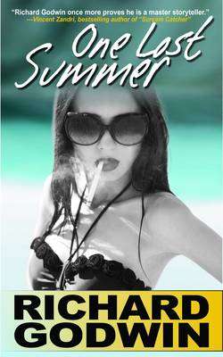 Book cover for One Lost Summer