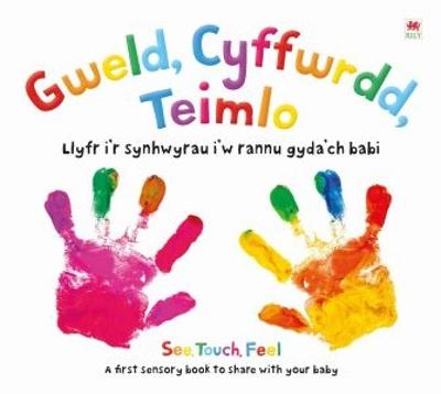 Book cover for Gweld, Cyffwrdd, Teimlo / See, Touch, Feel