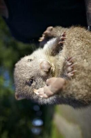 Cover of Baby Wombat Takes Aim Journal -- Watch Out!