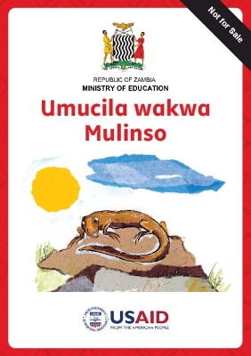 Book cover for The Lizard's Tail PRP Icibemba version