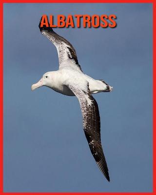 Book cover for Albatross