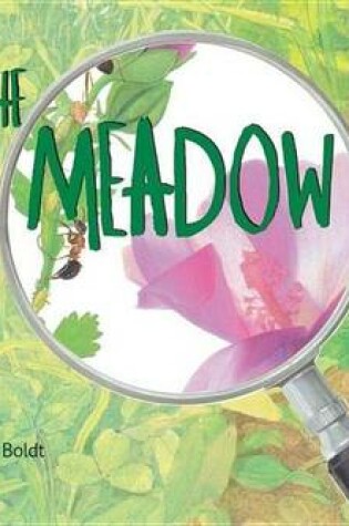 Cover of In the Meadow