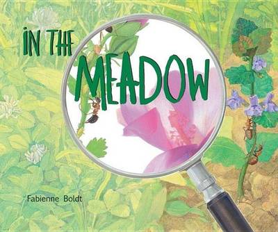 Book cover for In the Meadow