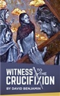 Book cover for Witness to the Crucifixion