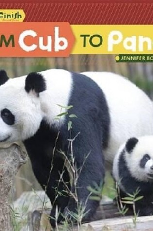 Cover of From Cub to Panda