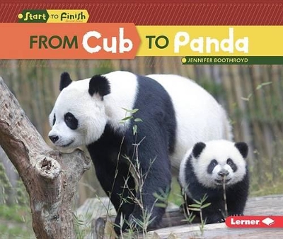 Cover of From Cub to Panda