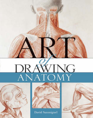 Book cover for Art of Drawing Anatomy