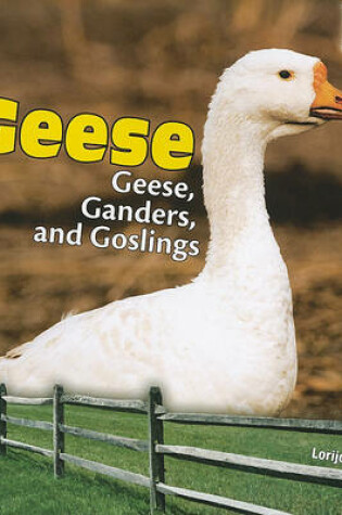 Cover of Geese