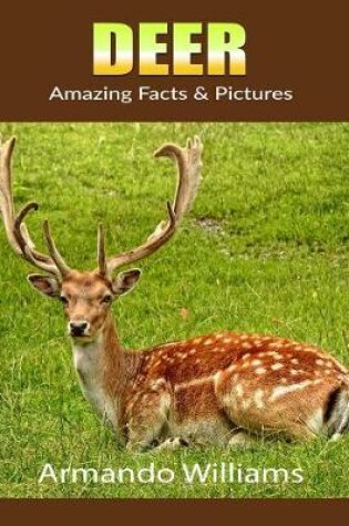 Cover of Deer