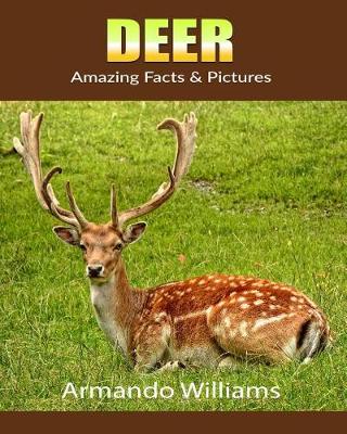 Book cover for Deer