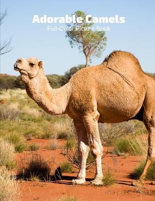 Book cover for Adorable Camels Full-Color Picture Book