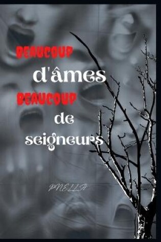 Cover of Beaucoup d'âmes beaucoup de seigneurs