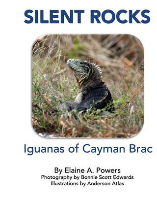 Cover of Silent Rocks